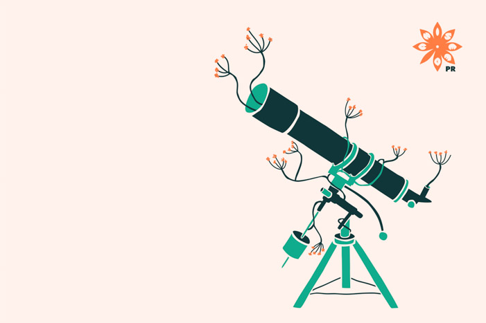 Illustration for AniseedPR of a telescope to visualise looking at the bigger picture.