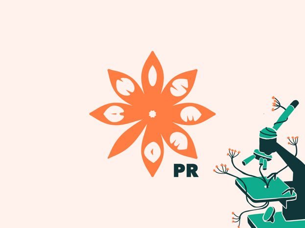 Aniseed PR logo made up of a stylised, orange anise fruit featuring individual letters of ‘ANISEED’ in each of its petals.