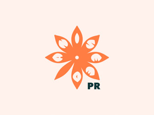 AniseedPR logo made up of a stylised, orange aniseed flower featuring individual letters of aniseed in each of its petals.