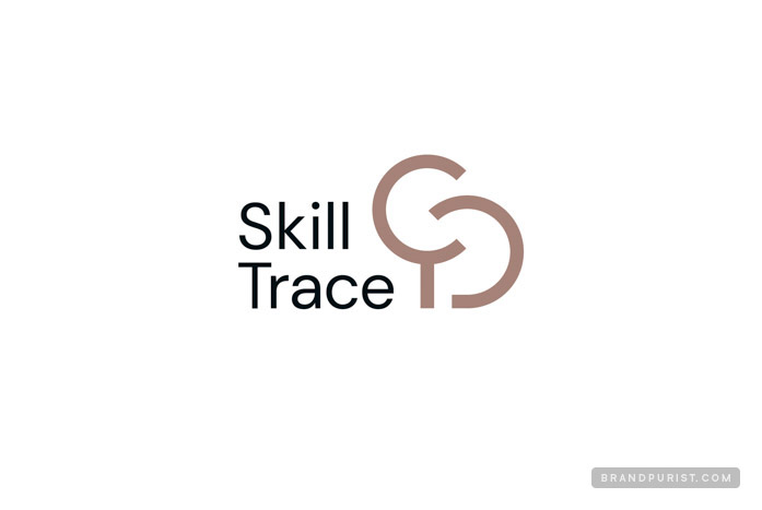 Skill Trace logo on light background.